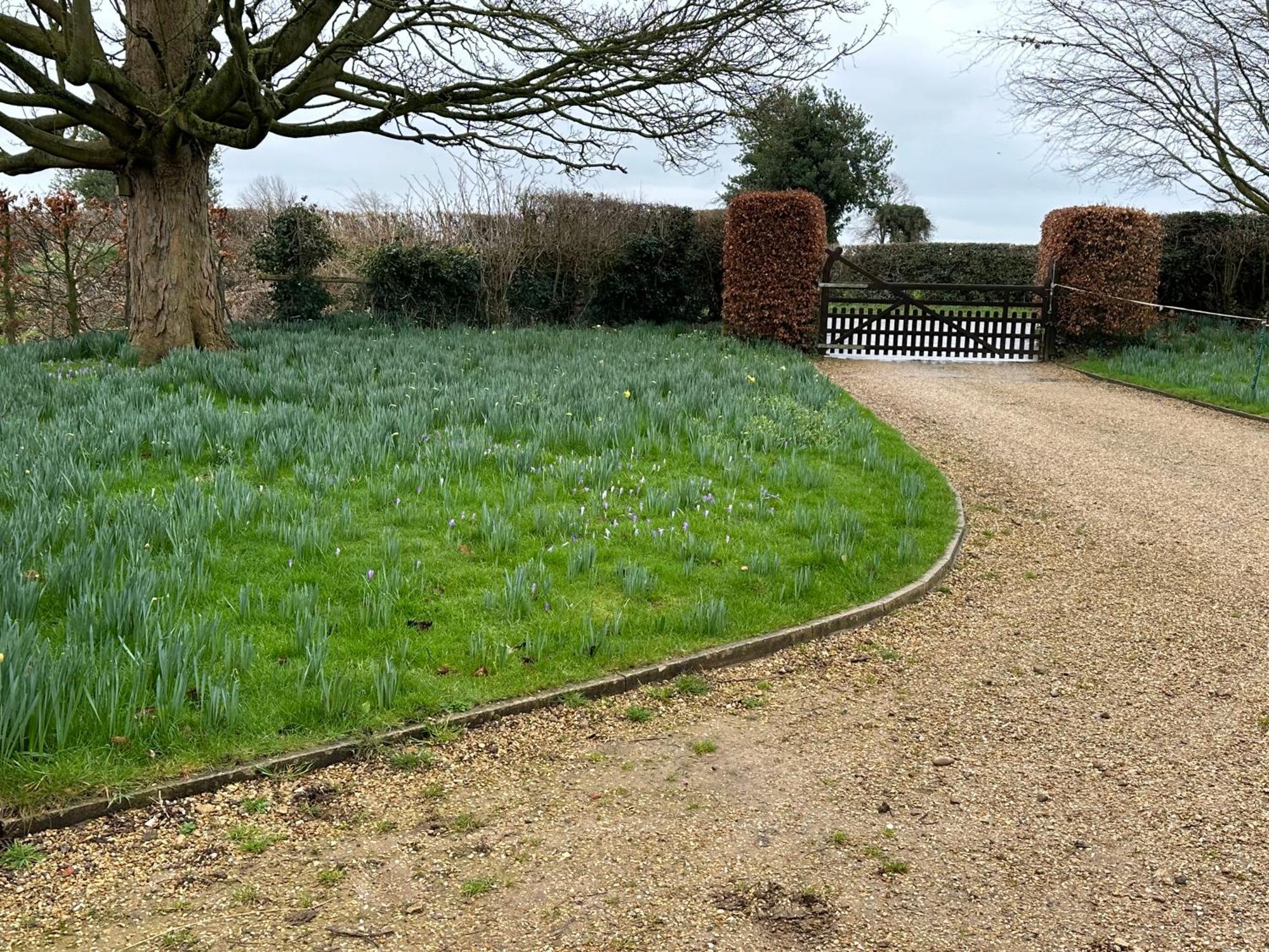 The Stable Room At The Grange Tetford 外观 照片