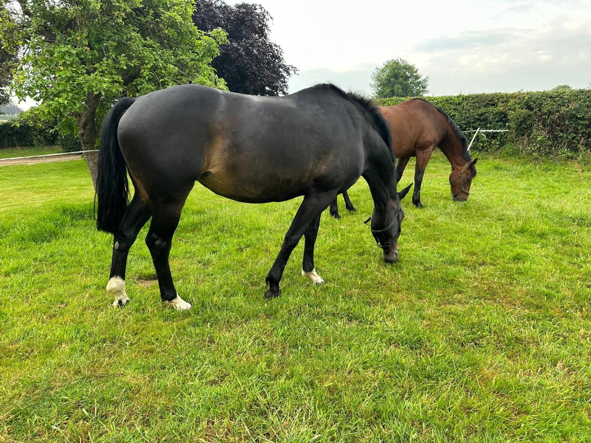 The Stable Room At The Grange Tetford 外观 照片